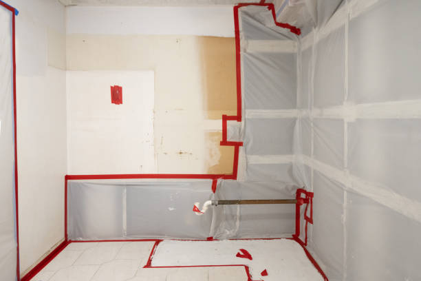 Best Emergency Mold Remediation  in Cedar Knolls, NJ