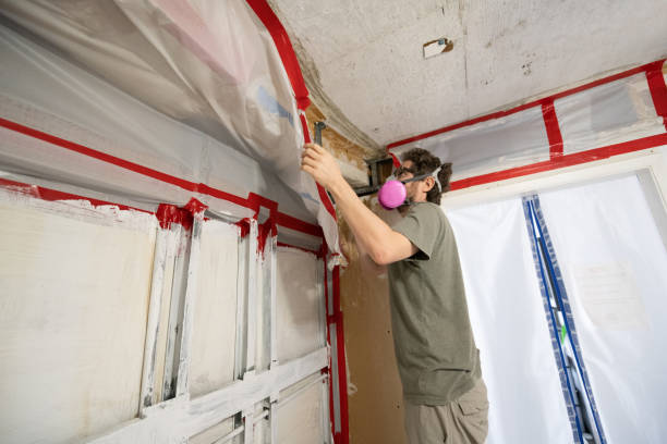 Mold Documentation for Insurance Claims in Cedar Knolls, NJ