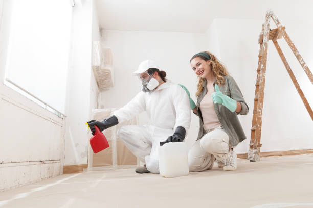 Professional Mold Inspection, Removal & Remediation in Cedar Knolls, NJ